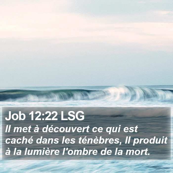 Job 12:22 LSG Bible Study