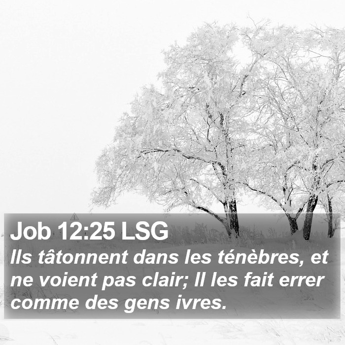 Job 12:25 LSG Bible Study