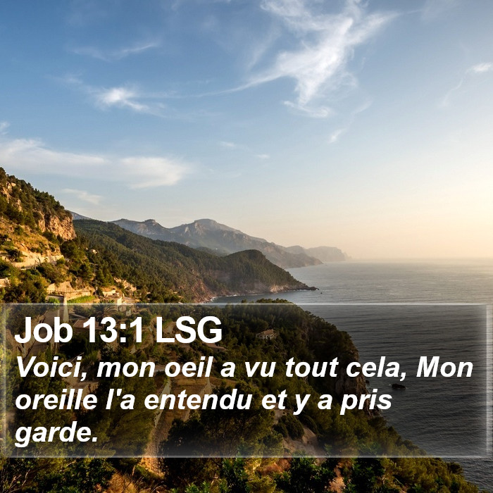 Job 13:1 LSG Bible Study