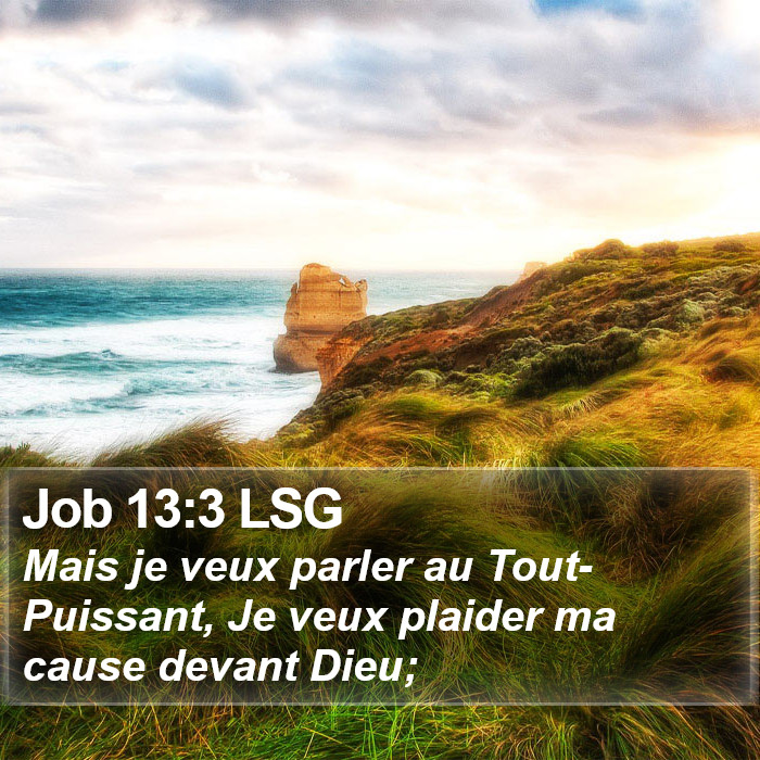 Job 13:3 LSG Bible Study