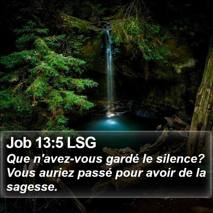 Job 13:5 LSG Bible Study