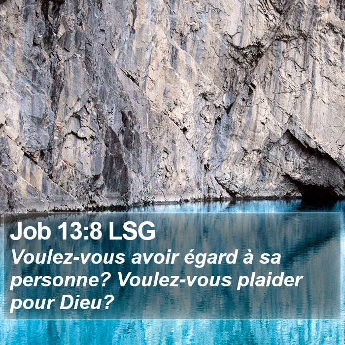 Job 13:8 LSG Bible Study