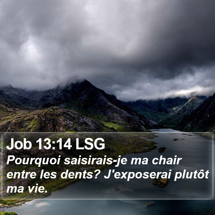 Job 13:14 LSG Bible Study