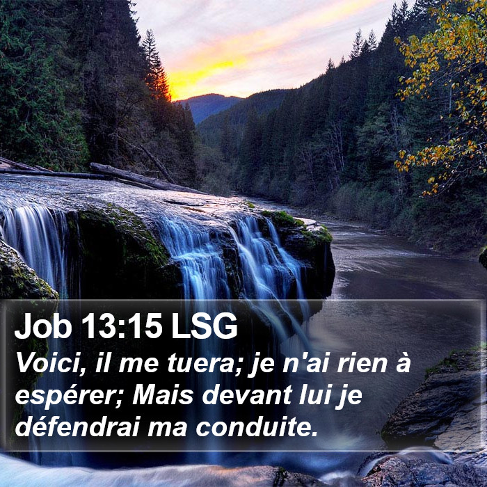 Job 13:15 LSG Bible Study