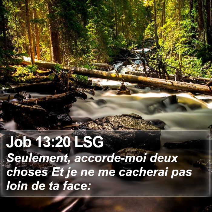 Job 13:20 LSG Bible Study