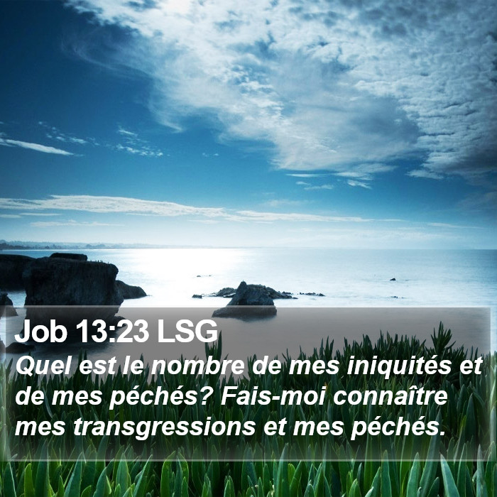 Job 13:23 LSG Bible Study