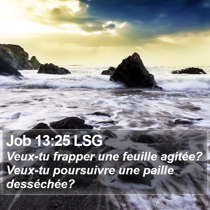 Job 13:25 LSG Bible Study