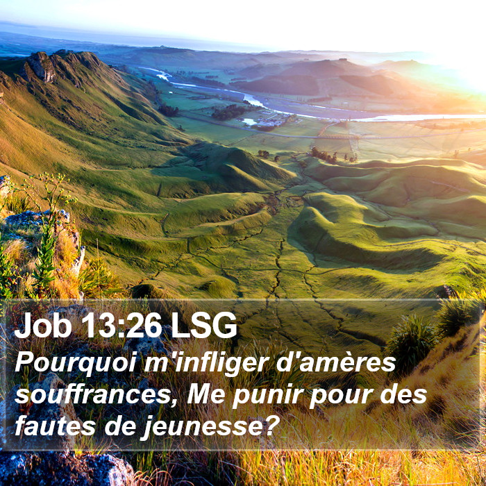 Job 13:26 LSG Bible Study