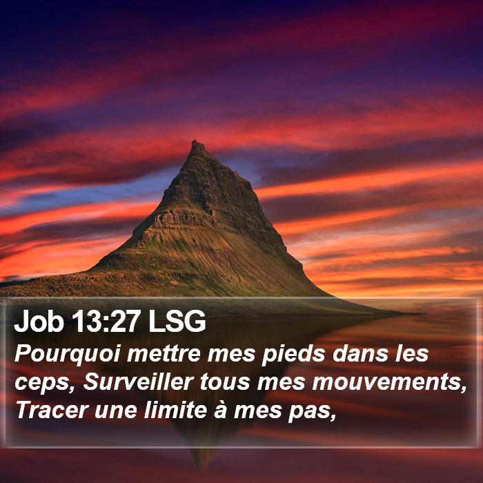 Job 13:27 LSG Bible Study