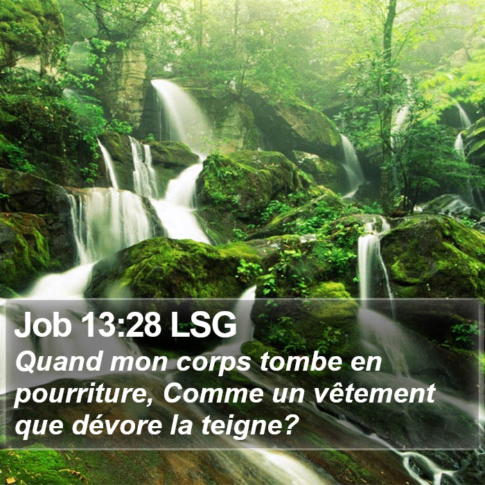 Job 13:28 LSG Bible Study