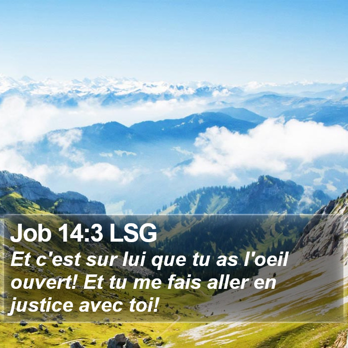 Job 14:3 LSG Bible Study