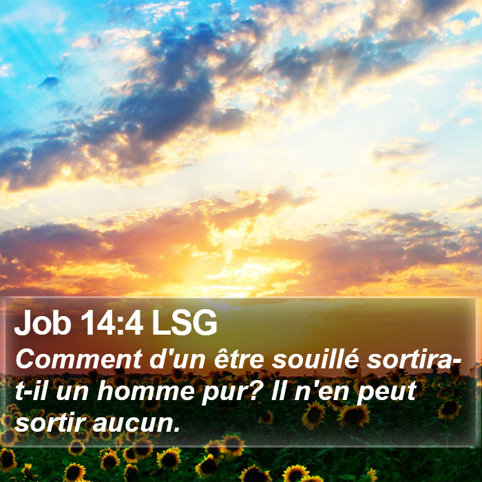 Job 14:4 LSG Bible Study