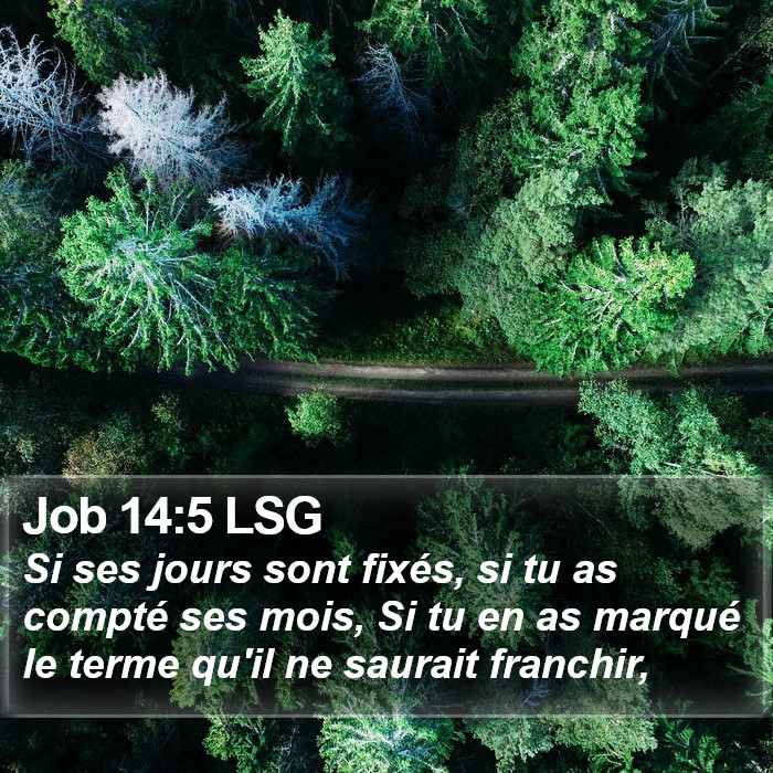 Job 14:5 LSG Bible Study