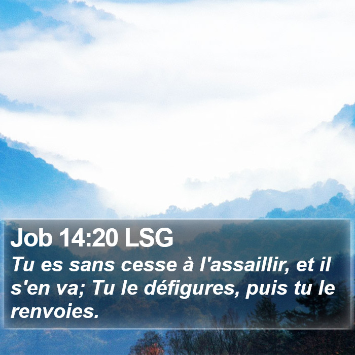 Job 14:20 LSG Bible Study