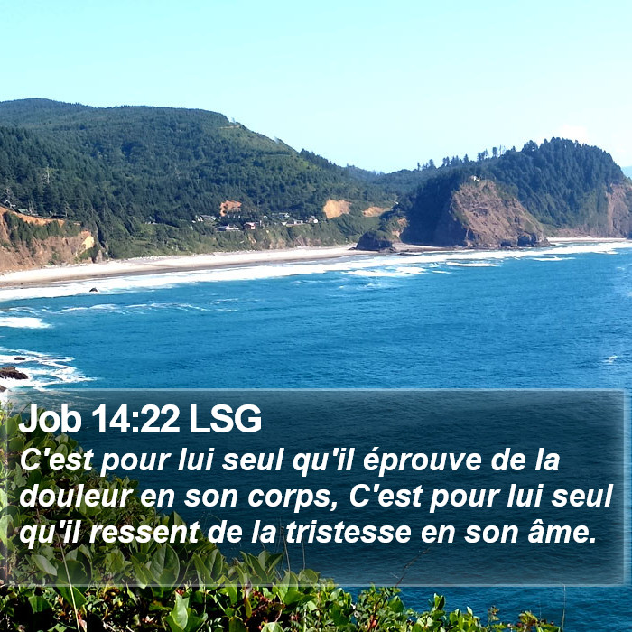 Job 14:22 LSG Bible Study