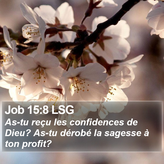 Job 15:8 LSG Bible Study