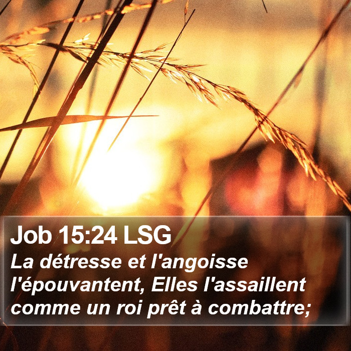 Job 15:24 LSG Bible Study