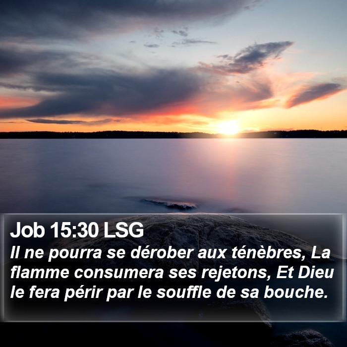 Job 15:30 LSG Bible Study