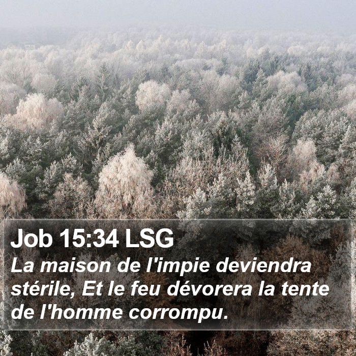 Job 15:34 LSG Bible Study