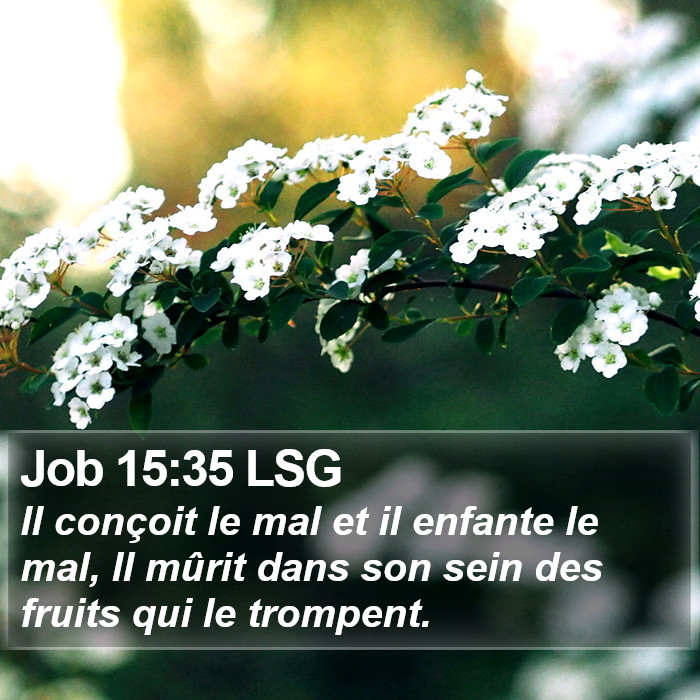 Job 15:35 LSG Bible Study