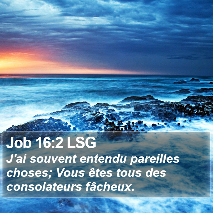 Job 16:2 LSG Bible Study