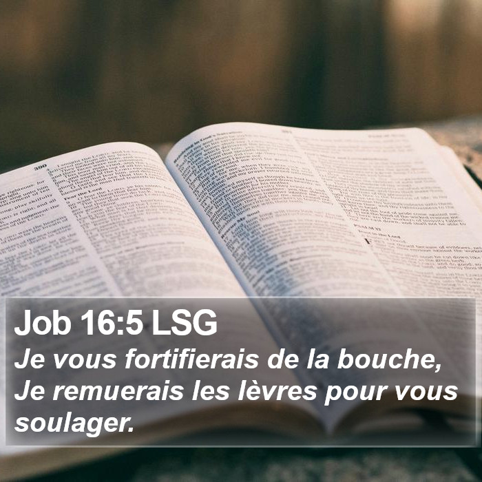 Job 16:5 LSG Bible Study