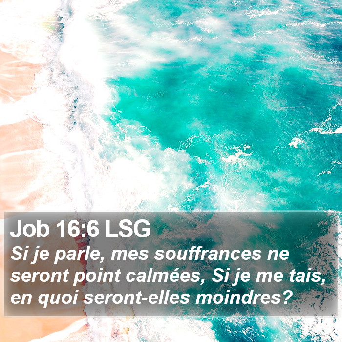 Job 16:6 LSG Bible Study