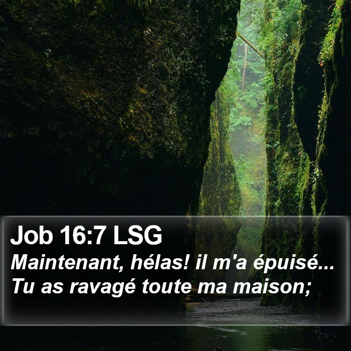 Job 16:7 LSG Bible Study