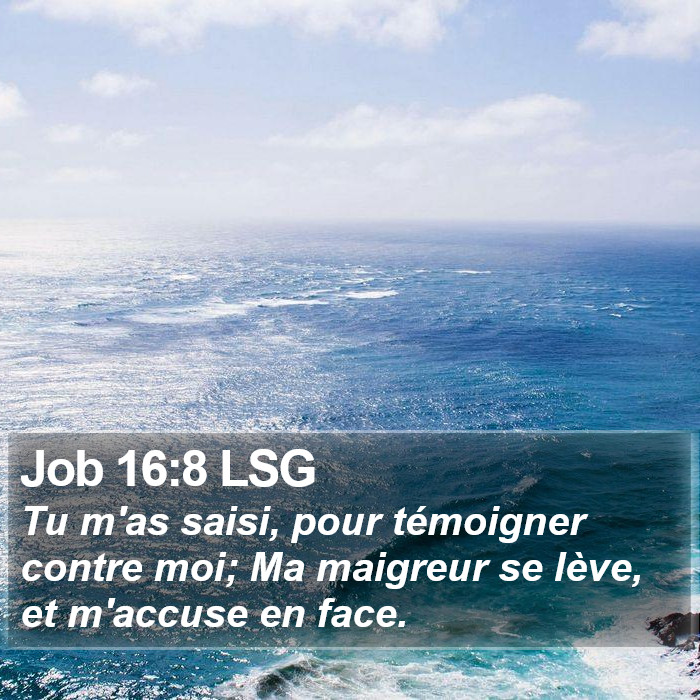 Job 16:8 LSG Bible Study