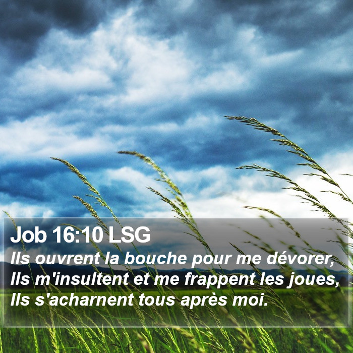 Job 16:10 LSG Bible Study