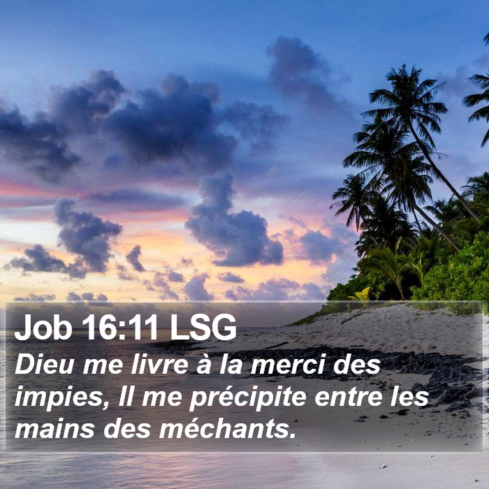 Job 16:11 LSG Bible Study