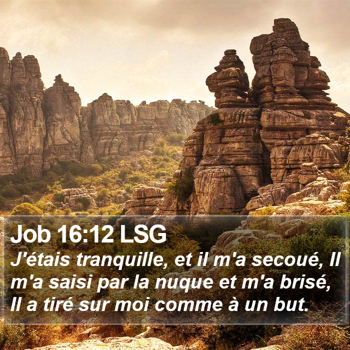 Job 16:12 LSG Bible Study