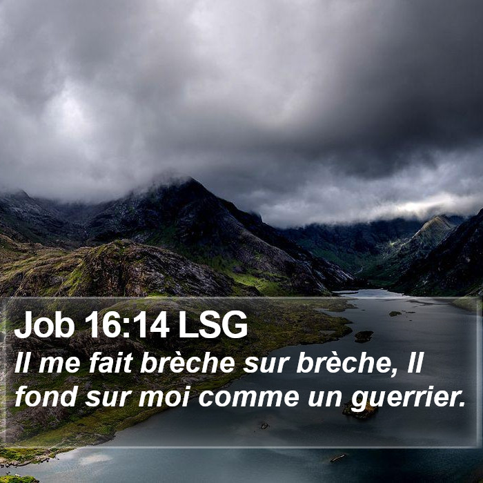 Job 16:14 LSG Bible Study