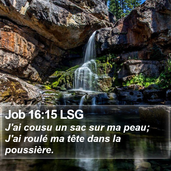 Job 16:15 LSG Bible Study