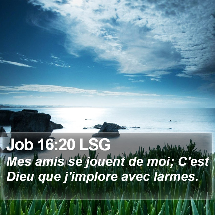 Job 16:20 LSG Bible Study