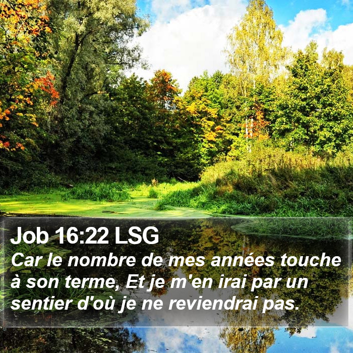 Job 16:22 LSG Bible Study