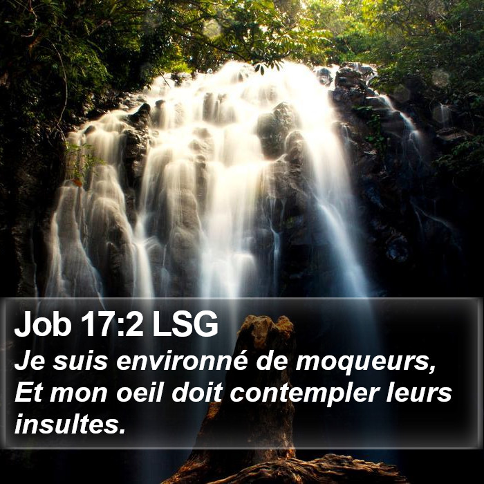 Job 17:2 LSG Bible Study