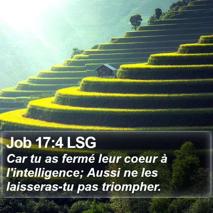 Job 17:4 LSG Bible Study