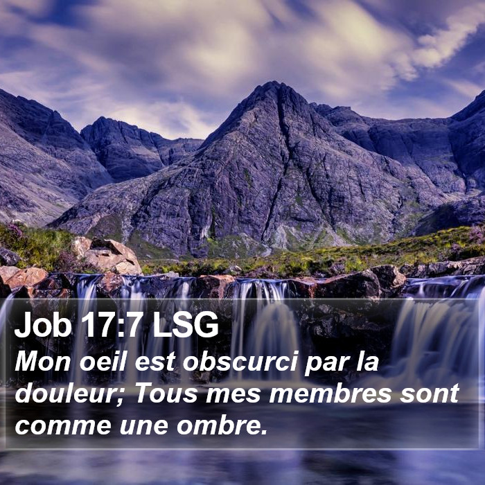 Job 17:7 LSG Bible Study