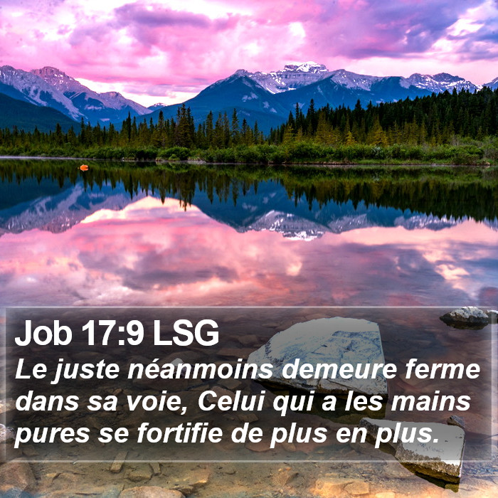 Job 17:9 LSG Bible Study