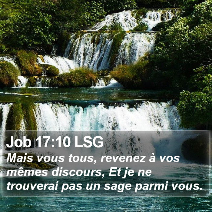 Job 17:10 LSG Bible Study