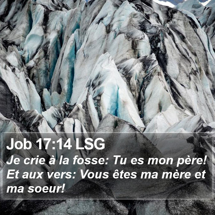 Job 17:14 LSG Bible Study