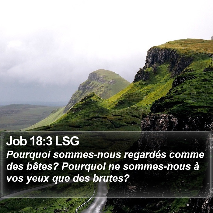 Job 18:3 LSG Bible Study