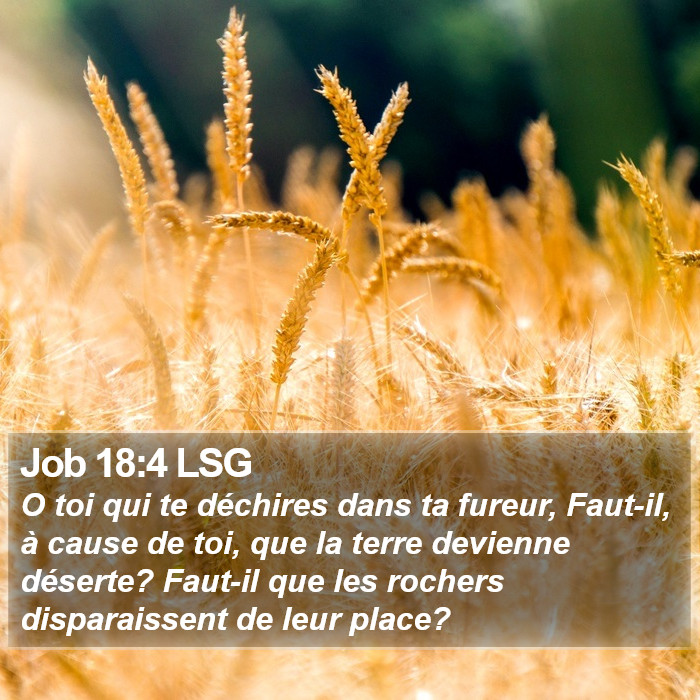 Job 18:4 LSG Bible Study