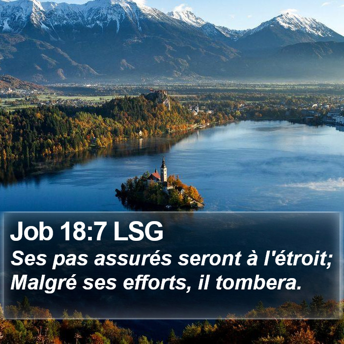 Job 18:7 LSG Bible Study