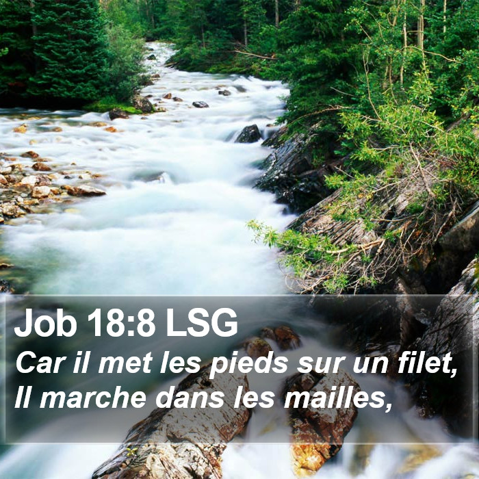 Job 18:8 LSG Bible Study