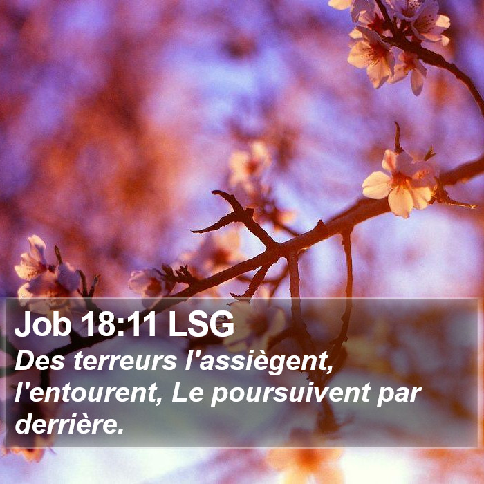 Job 18:11 LSG Bible Study