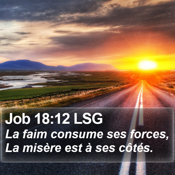 Job 18:12 LSG Bible Study