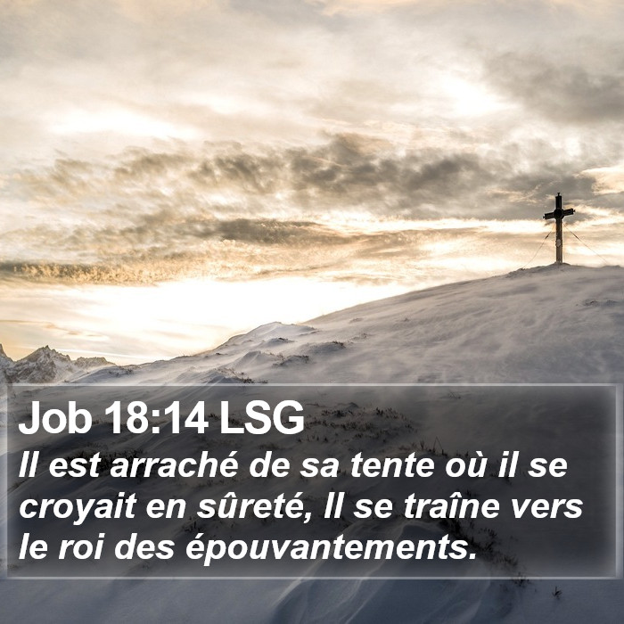 Job 18:14 LSG Bible Study