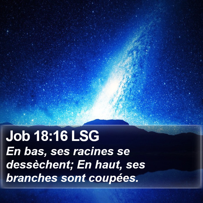 Job 18:16 LSG Bible Study